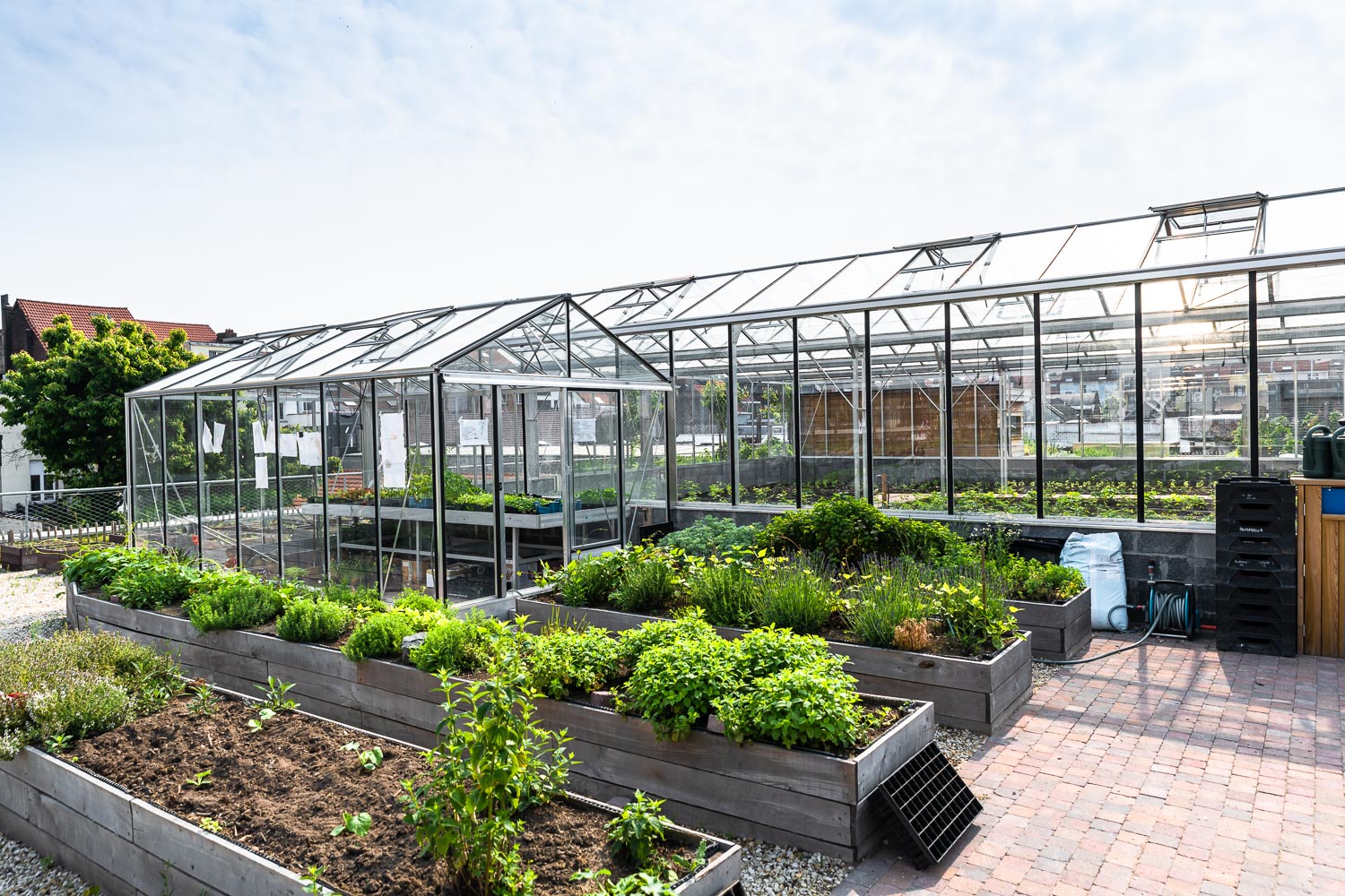 Jourdan Garden Brussel Etterbeek daktuinieren Zabra