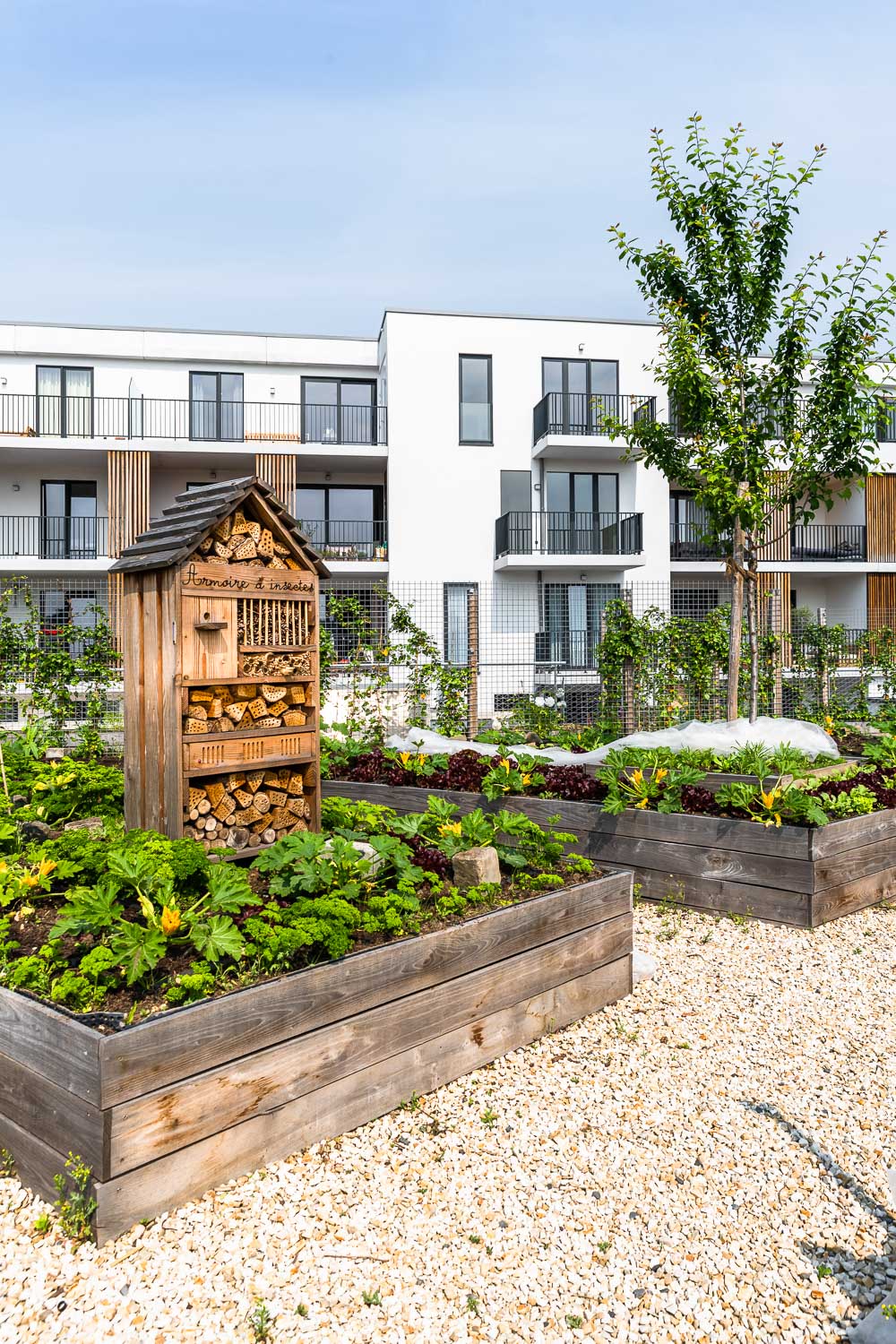 Jourdan Garden Brussel Etterbeek nieuwbouw Zabra realisatie project